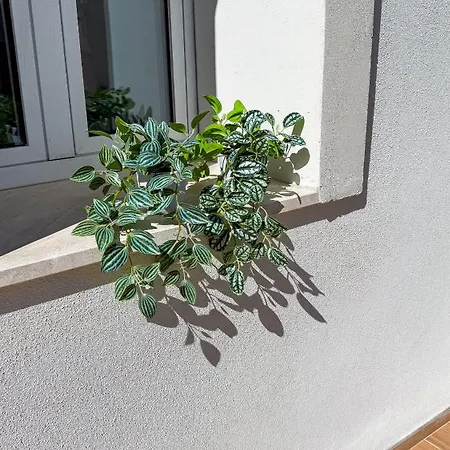 Casa Milly Appartement Olbia
