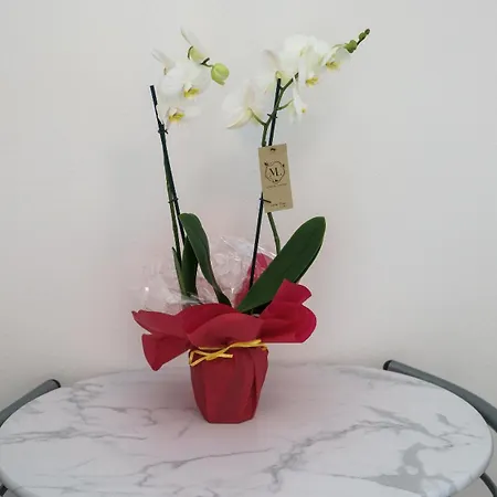 شقة Casa Milly *